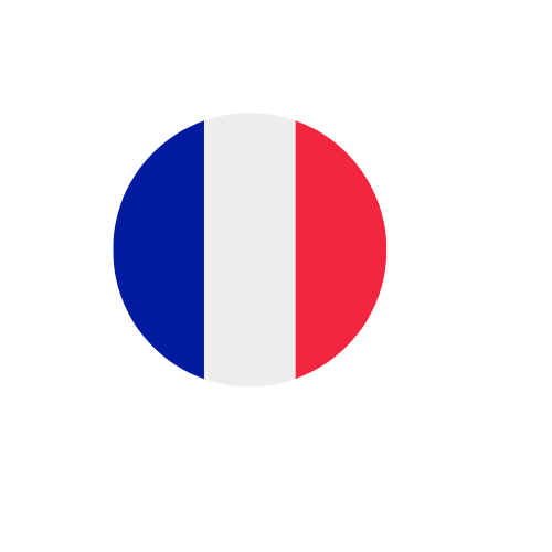 Icône Français